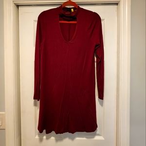 Express long sleeve dress